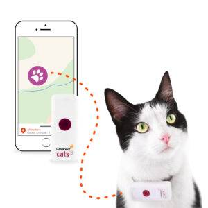 gps pour chien et chat Rixheim 0