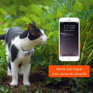 gps pour chien et chat Rixheim 0