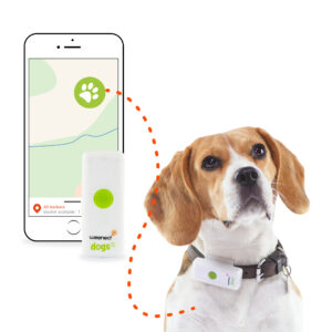 gps pour chien et chat Rixheim 0