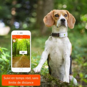 gps pour chien et chat Rixheim 0