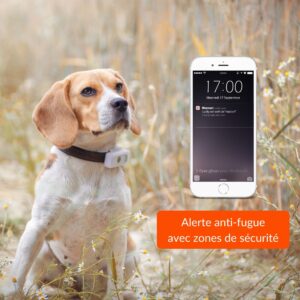 gps pour chien et chat Rixheim 0